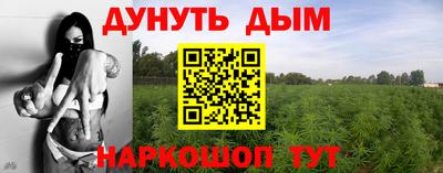 2c-b Гатчина