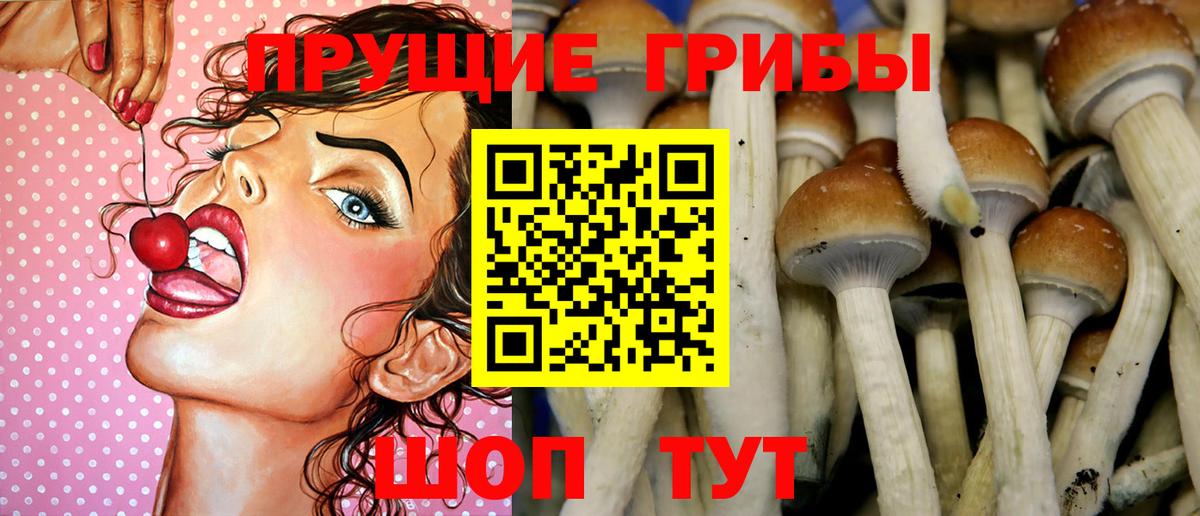 Галлюциногенные грибы Psilocybe  Вход с VPN  Псилоцибиновые грибы мухоморы  Балашиха 